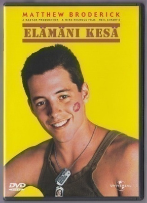 Elämäni kesä (v.1988) Matthew Broderick, Christopher Walken