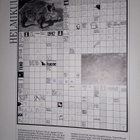 Metsästys ja kalastus 2/1991 - pikkukuva 4