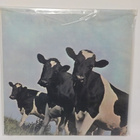 PINK FLOYD - ATOM HEART MOTHER EX+/EX+ LP swe 2. painos - pikkukuva 2