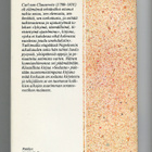 Karl von Clausewitz: Sodasta: Valikoima ajatelmia - pikkukuva 2