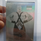 1994 WWF Vending Machine Hologram Ludvig Borga/Tony Halme - pikkukuva 1