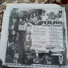 Nobunny – Secret Songs Vinyyli - Myydään koristeeksi - pikkukuva 3