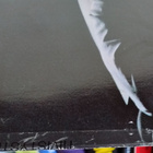 Blondie – Blondie LP - pikkukuva 3