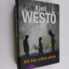 Kjell Westö : Älä käy yöhön yksin - pikkukuva 1