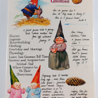 Wil Huygen : Gnomes - pikkukuva 2