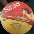 Tigertailz – Noise Level Critical 12" EP RARE! - pikkukuva 2
