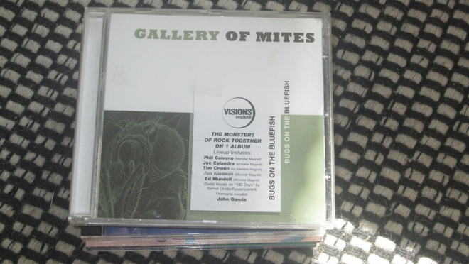 Gallery Of Mites – Bugs On The Bluefish