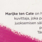 Corien Oranje: Aloitan huomenna - pikkukuva 4