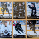 2024-25 Blueline Series 1 TPS Team Set 12 korttia (169-180) - pikkukuva 2