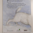 Pirkko-Liisa Surojegin ym. : Pikkupöllö - pikkukuva 2
