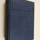 Selma Lagerlöf : Gösta Berlingin taru - pikkukuva 1