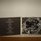 The Good The Bad & The Queen CDS Herculean + 2 - pikkukuva 2