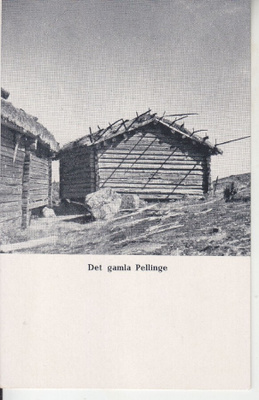 Gamla pellinge kortti käyttämättömänä (4)