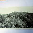 Koli - 1949 - pikkukuva 1