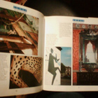 Seligman: PAINTING MURALS (Images Ideas Techniques) Sis.pk:t - pikkukuva 4