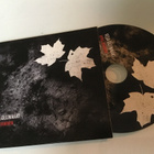 Vesa Ollinmäki . Hyvä ihminen CDS single - pikkukuva 1