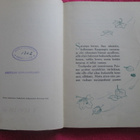 AILA NISSINEN - PUNAPOSKI JA MARJA-LIENA v 1954 !! - pikkukuva 2
