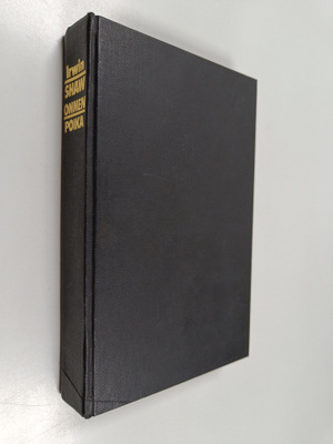 Irwin Shaw : Onnenpoika