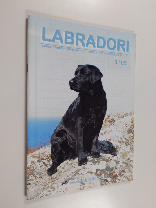 Labradori 3/05