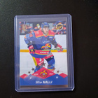 Liiga 26/27 Miro Nalli Jokerit Gold /100 - pikkukuva 1