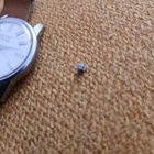 Seiko sea horse automaatti - pikkukuva 3