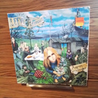 Leevi And The Leavings - Raparperitaivas - pikkukuva 1