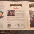 Advanced Dungeons & Dragons 2nd Edition – FRA1 Storm Riders - pikkukuva 2