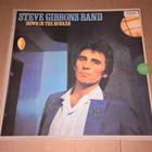 THE STEVE GIBBONS BAND DOWN IN THE BUNKER LP - pikkukuva 1