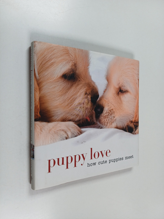 Puppy love : how cute puppies meet