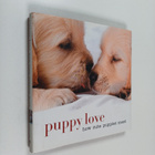 Puppy love : how cute puppies meet - pikkukuva 1