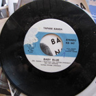 TAPANI KANSA : baby blue / naimisiin tahdo en : ( hienokunto - pikkukuva 2