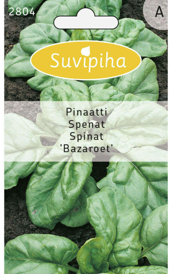 Pinaatti "Bazaroet" siemenet #
