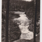 Kuusamo: Kiutaköngäs - pikkukuva 1