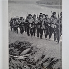 Väinö Linna : The unknown soldier : a novel - pikkukuva 2