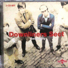 DOWNLINERS SECT; Sectuality 2 CD - pikkukuva 1