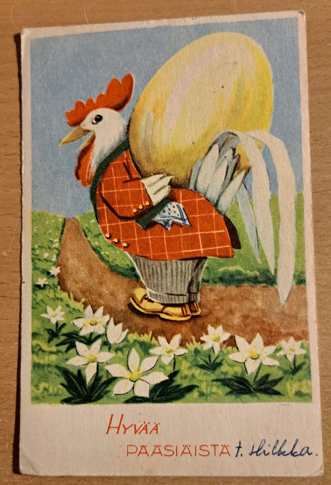 kukolla muna selässä, kulkenut