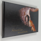 Albert Russo : Stiavnica mountains - pikkukuva 1
