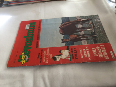 HEVOSHULLU 17/1982 HYVÄ
