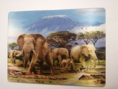 3D kortti norsut