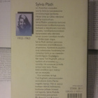 Ted Hughes & McCullough (toim.) - Sylvia Plathin päiväkirjat - pikkukuva 2