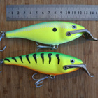 Rapala Shad Rap Magnum 12cm 2kpl - pikkukuva 2