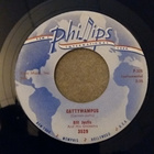 Bill Justis sinkku - pikkukuva 1
