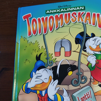 Walt Disney Ankkalinnan Toivomuskaivo