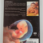 Lennart Nilsson : A child is born - pikkukuva 2