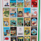 Herge : Tuhatkaunon tapaus - pikkukuva 2