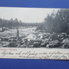 Viitasaari - 1905 - pikkukuva 1