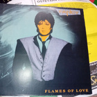 LP Fancy : Flames of Love ( SIS POSTIKULU ) - pikkukuva 1