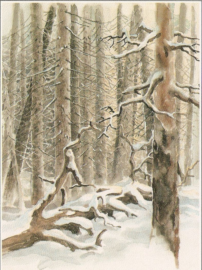 Pälikkö KP 1217:  AARNIMETSÄN TALVI. Ei kulk.