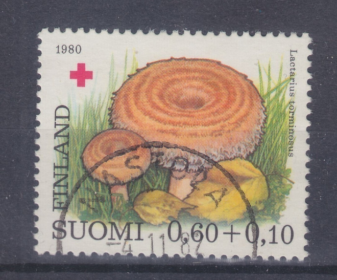Pr 1980 0,6 mk. loistoleimalla