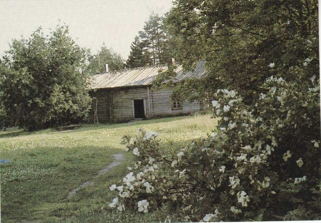 Postikortti, NILSIÄ,  Aholansaari, Paavon pirtti